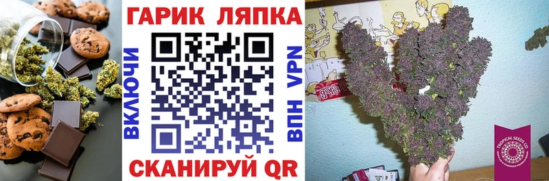 сколько стоит  Циолковский  Cannafood конопля 