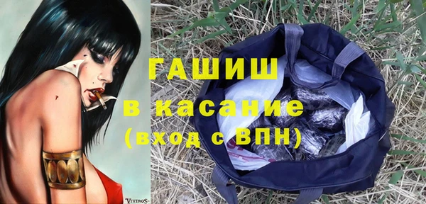сатива Абаза