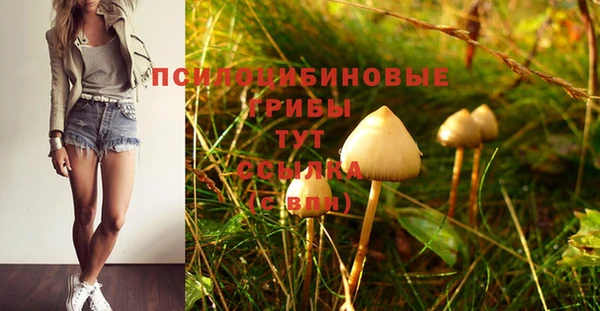 кристаллы Алексеевка