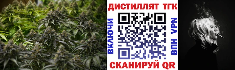 Дистиллят ТГК гашишное масло  где купить наркоту  Циолковский 